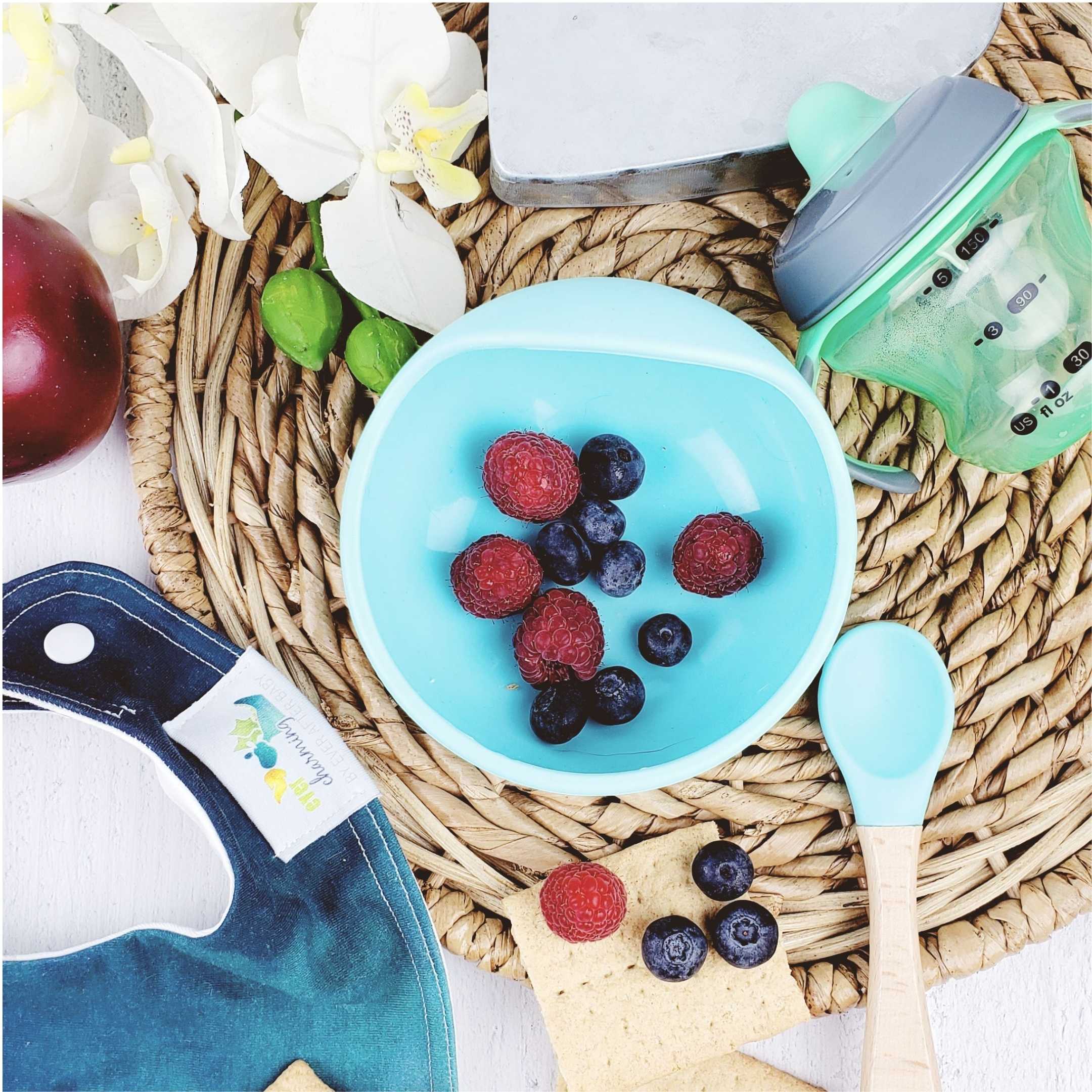 Magic Stay-put Baby Bowl & Spoon Set in Charming Teal  Magic Stay-put Baby Bowl & Spoon Set in Charming Teal